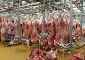 La Argentina incumplió la Cuota Hilton y perdió ingresos por u$s 150 millones.