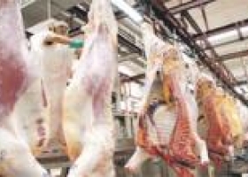 Paraguay busca ser quinto exportador de carne
