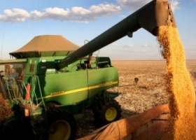 El 55% de la cosecha de soja aún está sin precio