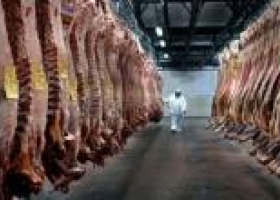 Prevén mayor suba de precios para la carne bovina