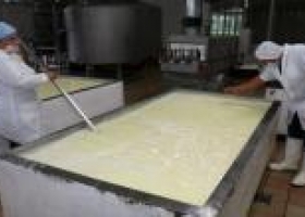 Cayeron 22% las exportaciones de leche en polvo