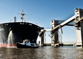 Alertan por trabas a la exportación de harina de trigo