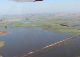 Las lluvias del sur de Buenos Aires diversificaron el estado de la fina