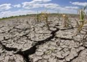 Se estaría gestando "La Niña"