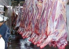 Uruguay importa carne bovina de Brasil destinada al abasto