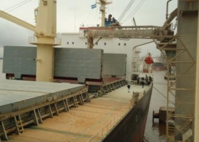 El Gobierno liberó exportaciones adicionales de harina de trigo