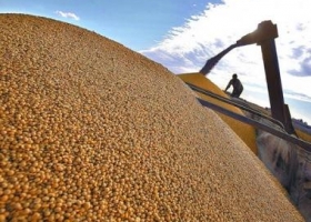 Retoman negociación con cerealeras para reforzar las reservas antes de fin de año.