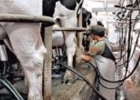 El Gobierno se reunió con productores lecheros