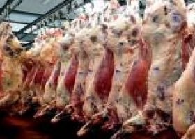 Exportación de carne bovina cae en Argentina