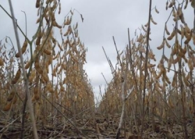 Crisis del agro: productores del NOA empiezan a movilizarse
