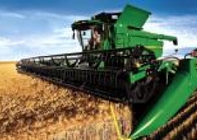 Trigo de la nueva cosecha: habilitarían la exportación
