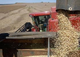 ¿Es posible aplicar marketing en los commodities agrícolas?