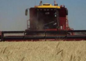 Los contratistas rurales se quedaron sin margen para renovar equipos.