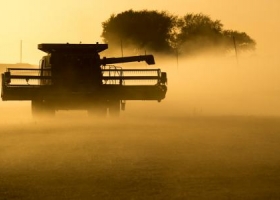 Ningún cultivo escapa al quebranto en campo arrendado