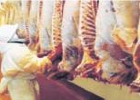 Pérdidas por intervenciones en el mercado cárnico