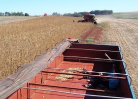 ¿Cuánto aportará el sector agropecuario de Córdoba con el aumento de la Tasa vial?
