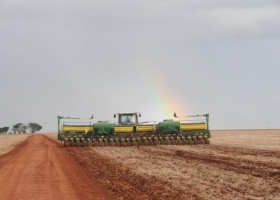 Caería un 5% el área sembrada de soja en el 2015
