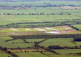El tipo societario que adopta el campo tiene fuertes repercusiones impositivas