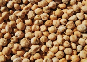 Ingreso de divisas por la exportación de garbanzos bajó un 67%