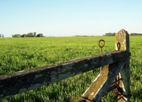 Dudas por el acuerdo de Federación Agraria con el Nación