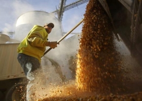 Aparecen pisos en el mercado de granos