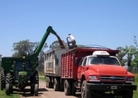Buscan diseñar un sistema para mejorar el precio del trigo