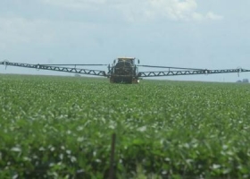 Alerta por las trabas al dólar para pagar insumos del campo