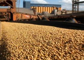 El USDA proyecta granos para todos