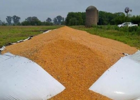 Rompieron otros silobolsas y crece la alarma en el campo.