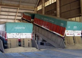 Productores deberán analizar calidad de su cosecha