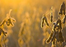 El Ministerio de Agricultura y la Comisión de Valores lanzaron Sio-Granos