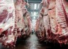 La Argentina exportará por primera vez carne a Europa con arancel cero