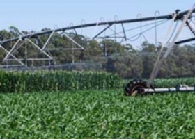 Aseguran que la biotecnología reduce el uso de agua en la agricultura
