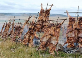El cordero patagónico: ¿Un mito local?
