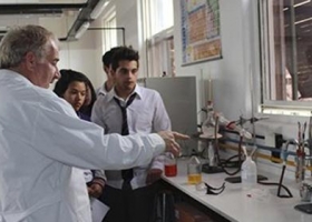 Científicos crean un complemento de alimentos para animales con suero lácteo