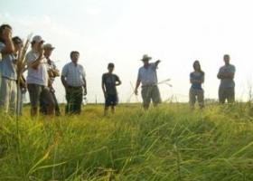 El agro busca crédito para retener la cosecha hasta el cambio de gobierno.