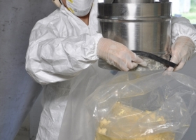 Desarrollan producto en polvo contra diarreas neonatales