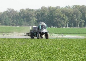 Productores podrían lograr la revisión de la norma de fitosanitarios