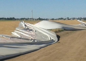 El campo repudia rotura de silobolsas y denuncia intencionalidad política.
