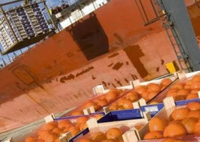 Las exportaciones de las economías regionales suman 15 meses de caída