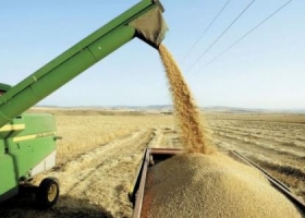 AFIP quiere que toda la certificación electrónica de los cereales sea obligatoria