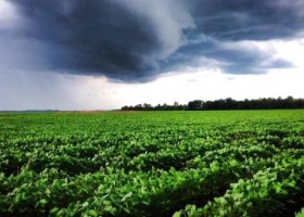 La constante es la atención sobre el clima norteamericano