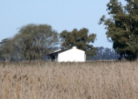 El gran éxodo: el campo se vacía y huye a ciudades hacinadas