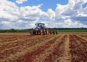 Crítico escenario para los productores del norte argentino