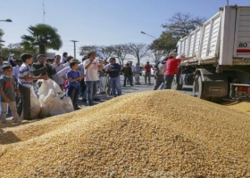 Productores salteños tiraron maíz al piso