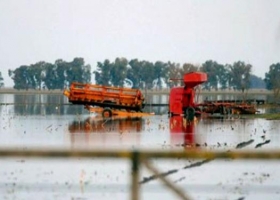 Preocupa al campo las inundaciones por lluvias