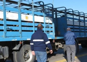 Ganadería: se espera buen acatamiento al paro
