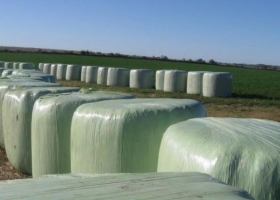 Anuncian por segunda vez la habilitación del mercado chino para fardos de alfalfa