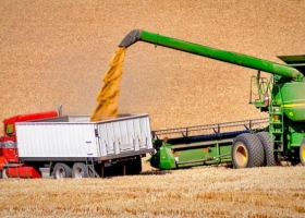 Reportes varios e información que sigue alimentando al cálculo fundamental.