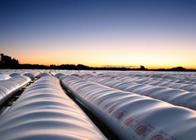 Reservas agrícolas: u$s 13.000 esperan al nuevo Gobierno